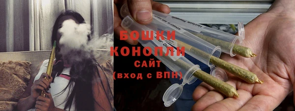 ПСИЛОЦИБИНОВЫЕ ГРИБЫ Бородино