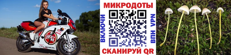 Галлюциногенные грибы мицелий  Купить  Кяхта 